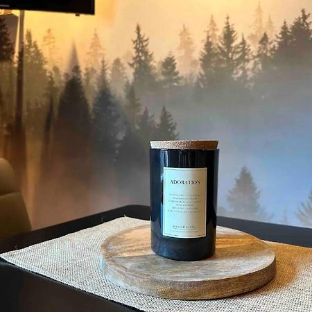 Studio Facon Chalet Montagnard - Hyper Centre 제라르메르 외부 사진